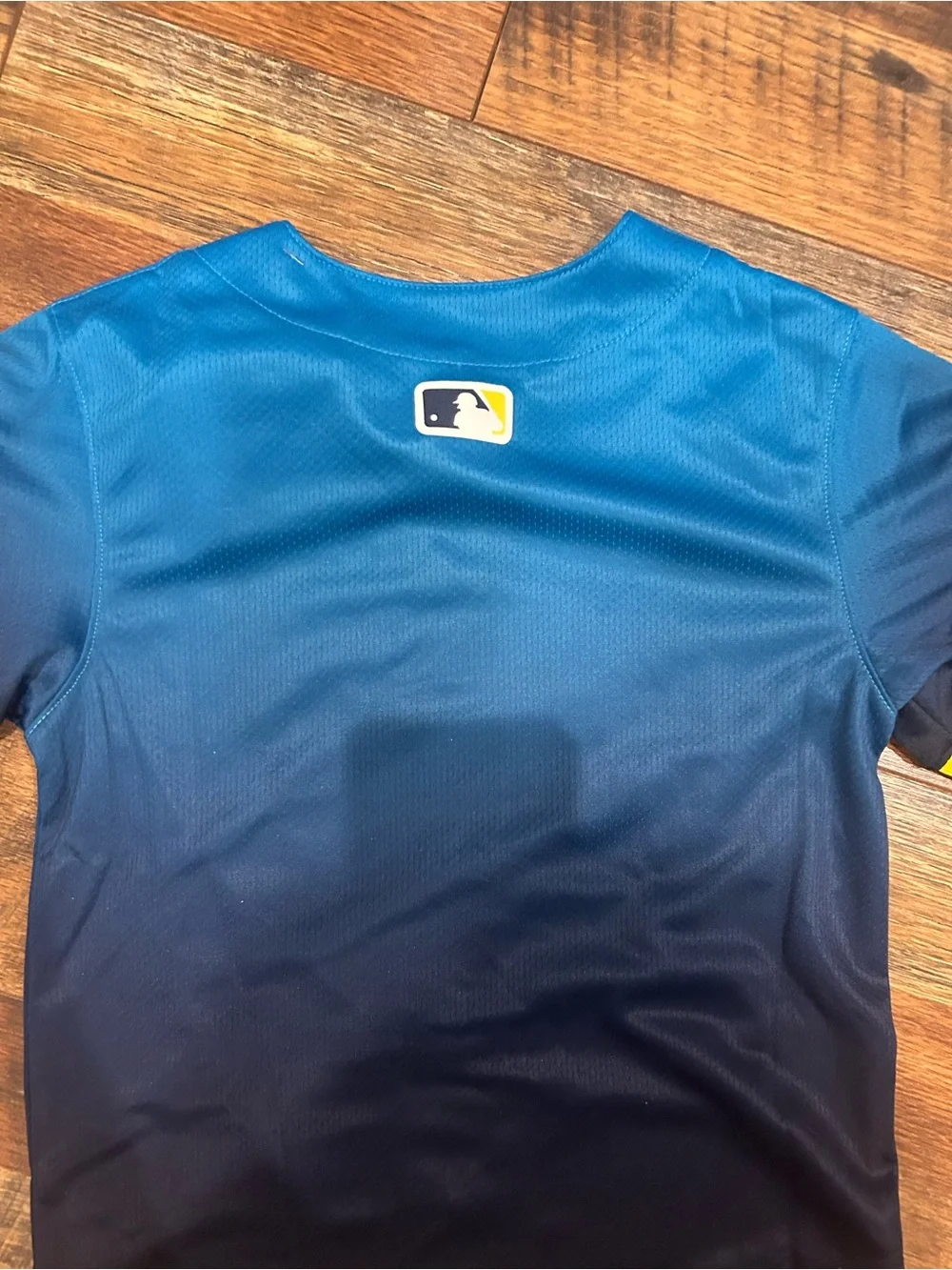 Nike Kids Blue Gradient 